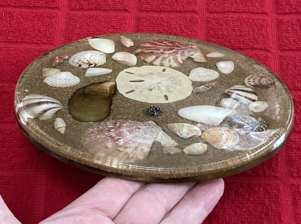 VINTAGE RESIN “SAND DOLLAR”/SHELLS TRIVET BY D & M