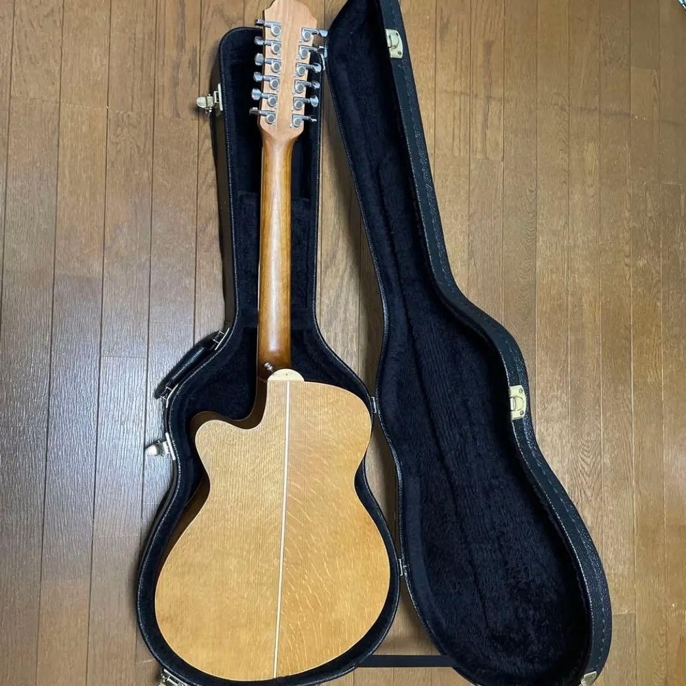 Aria FET-12 Hard Case Gig Back Martin Strings Safe Packing!