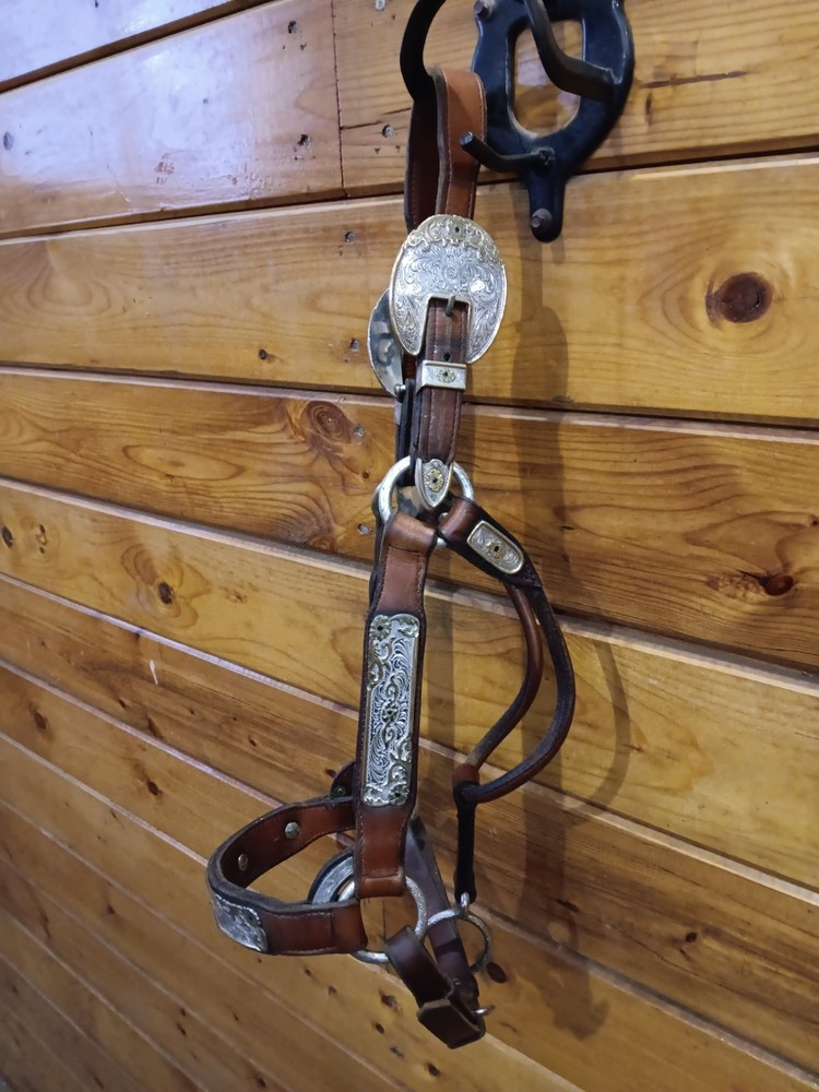 Silver Show halter
