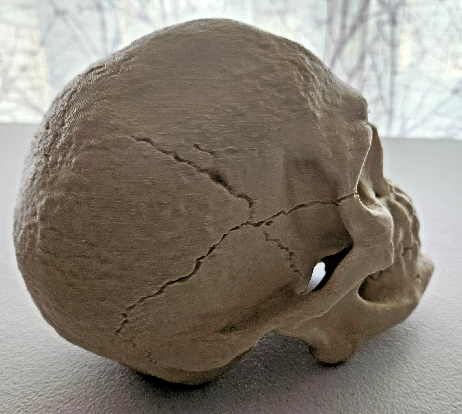 Large 3D Printed Human Skull 8 inch • Bone Color • Realistic Artistic Model