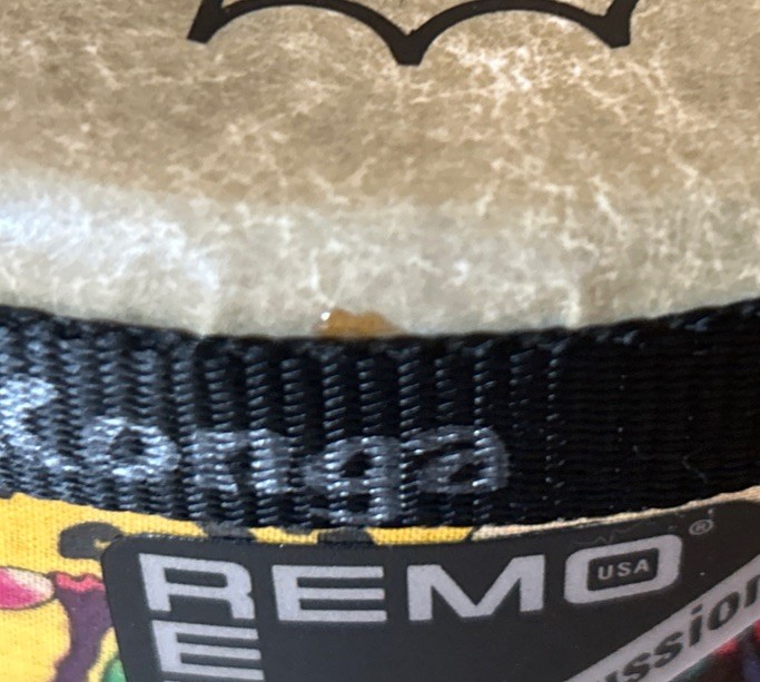 Remo Kid's Rain Forest Konga