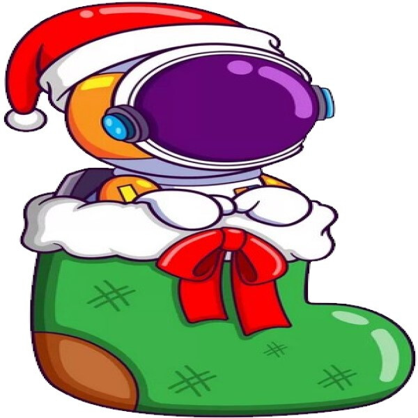 30 Custom Christmas Stocking Astronaut Personalized Address Labels