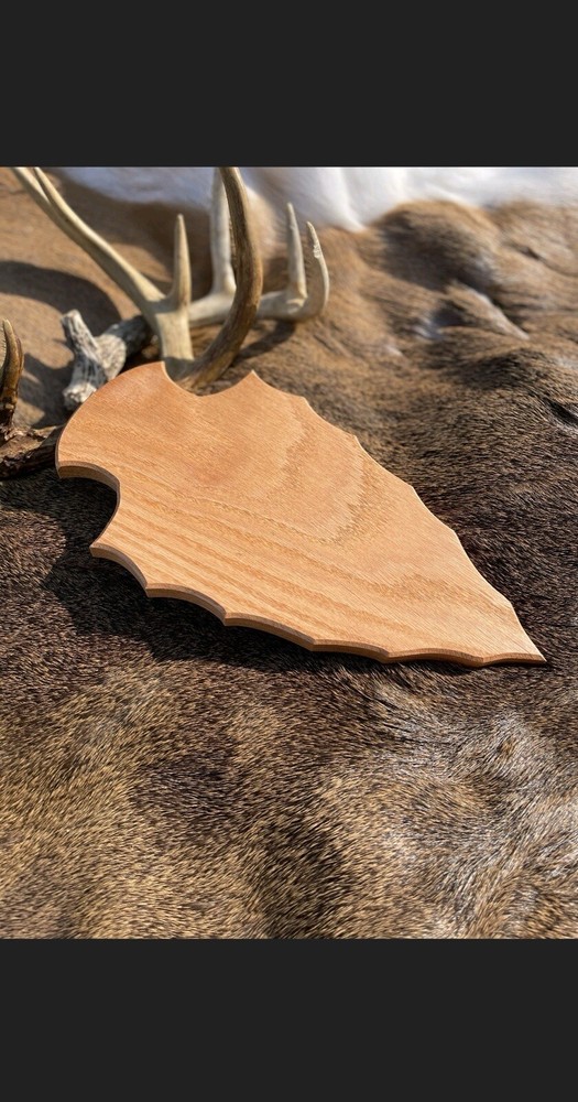Arrowhead Skull Plaque