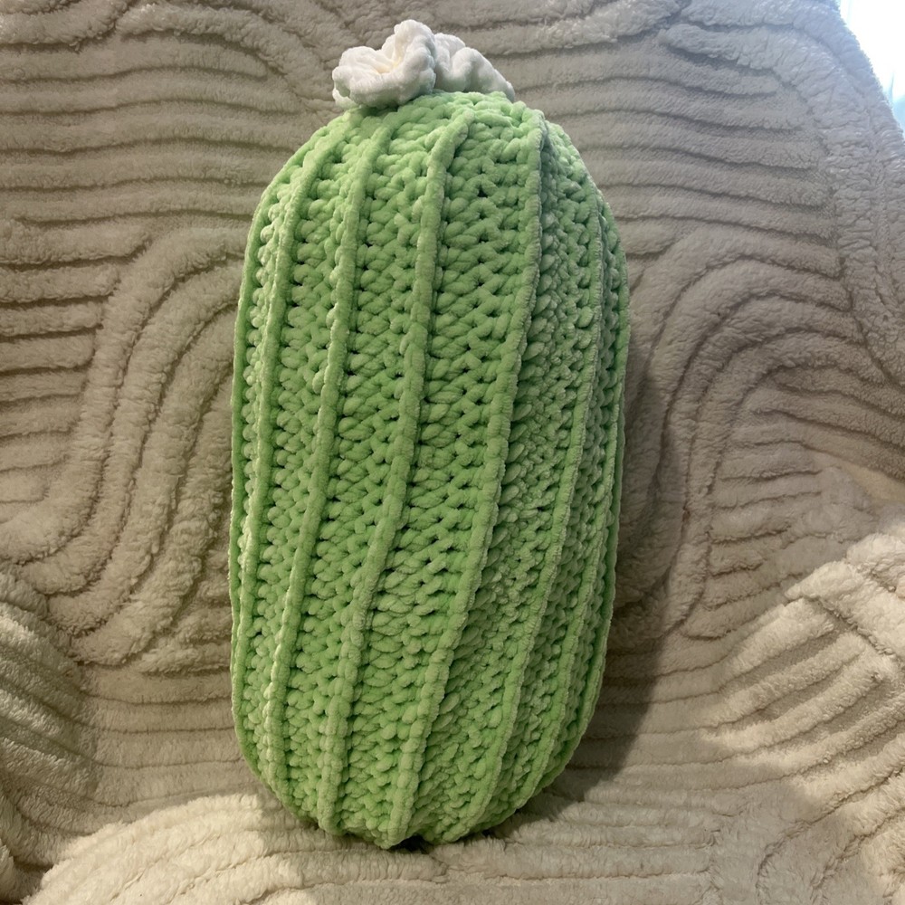 Homemade crochet Cactus