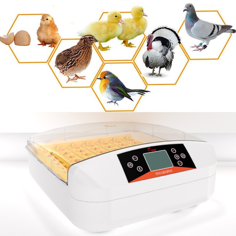 Egg Bird Incubator Automatic Poultry Hatcher Breeder Egg Turning 56 Eggs 110V