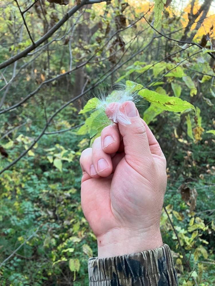 Milkweed Wind Indicator With Refills