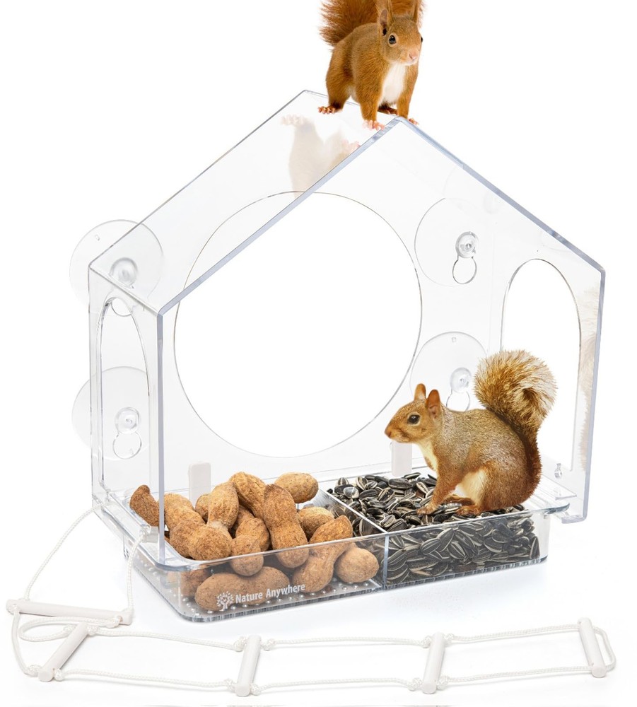 Window Squirrel Feeder - Funny Chipmunk Feeder - Easy Install - No Assembly