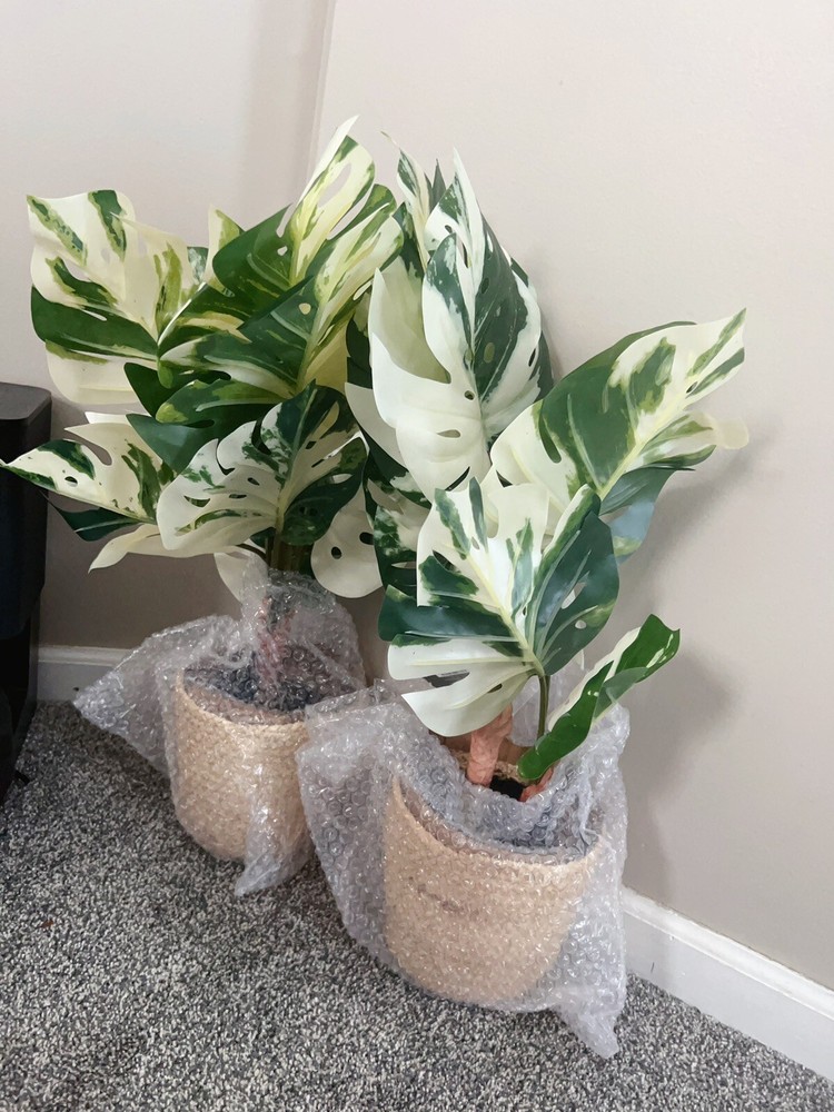 Threshold - Large Marble Monstera Artificial Plant