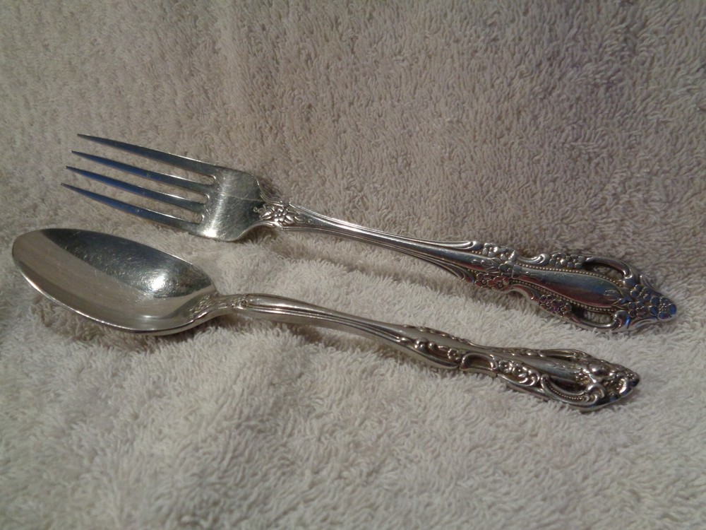Oneida Stainless Fork & Spoon