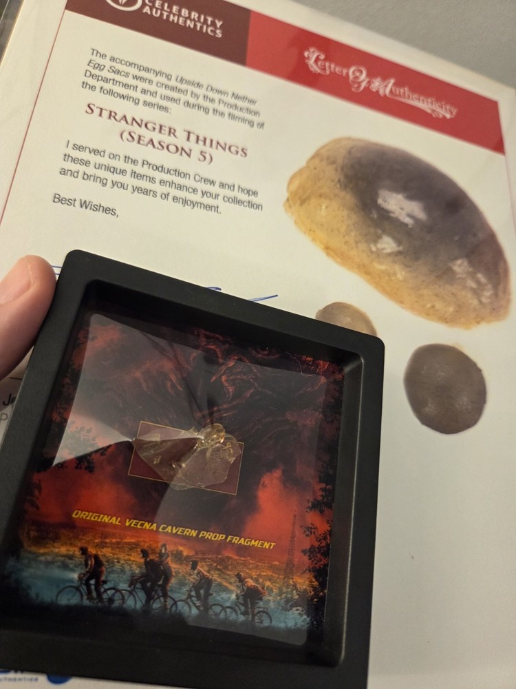 Stranger Things - VECNA CAVERN FRAGMENT (SCREEN USED ) ORIGINAL PROP S5