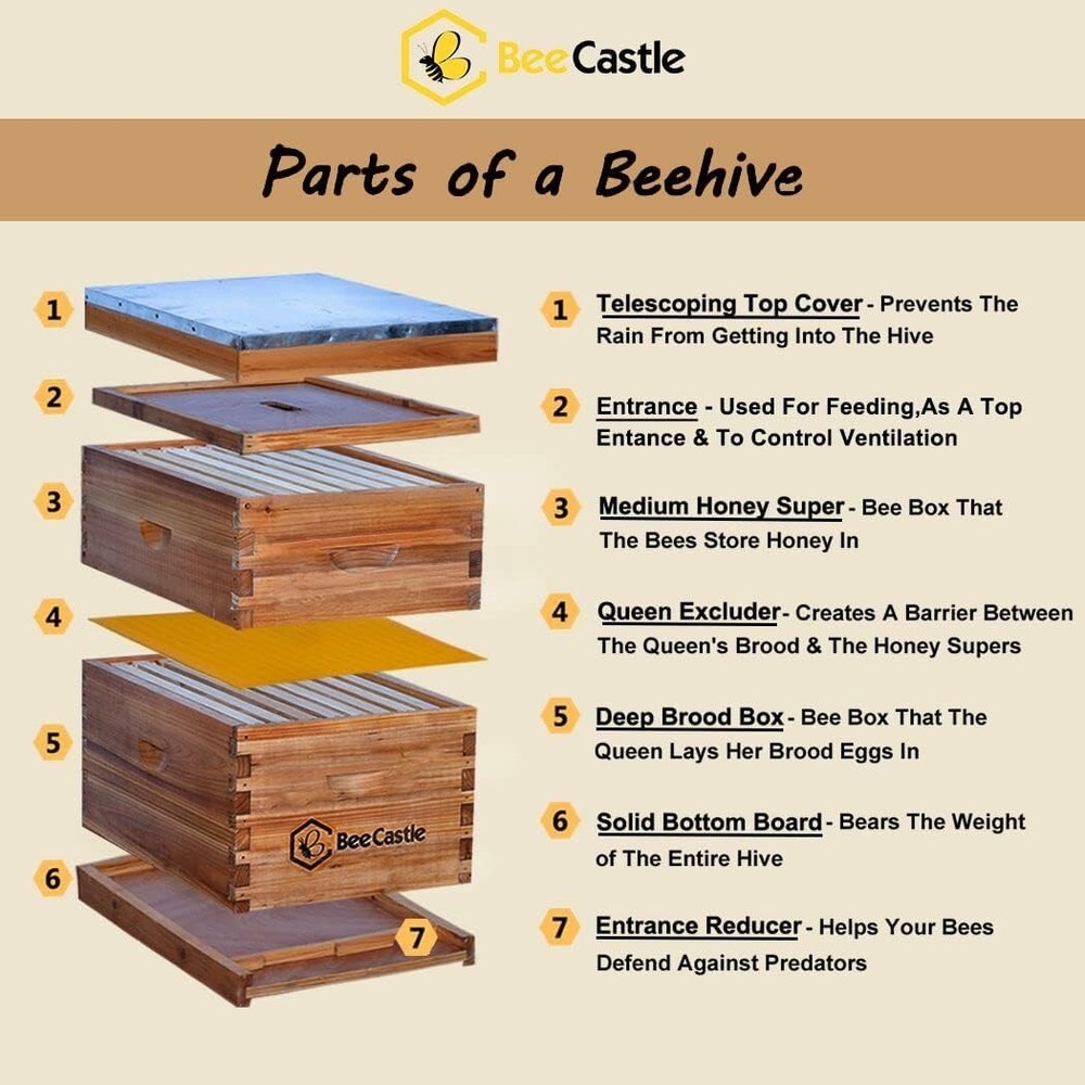 Langstroth Bee Hive with Beeswax Coating, Frames and Waxed Foundations Included