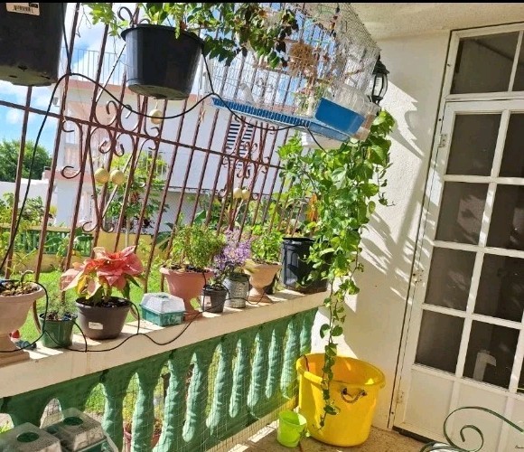 Solar Powered Automatic Complete Drip Irrigation Kit for Garden & Plant Pots