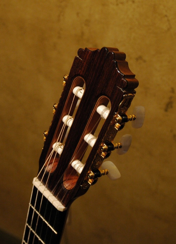 Make Your Own Rodriguez Guitar-Online Apprentice Guitar Making Course CDROM