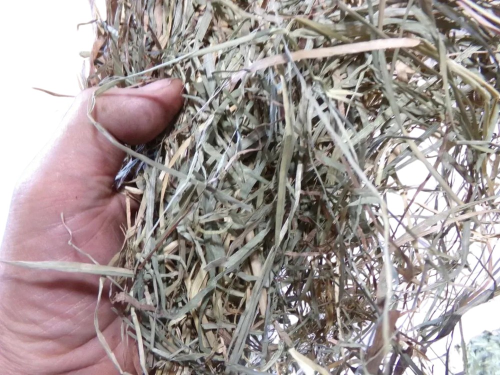 Timothy Hay In A Box 5 lbs.
