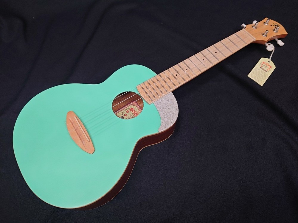 aNueNue UC10-Ice Green [Funabashi store]