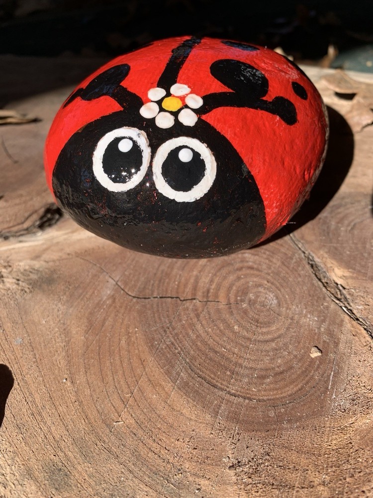 Hand Painted Garden Rock Ladybug