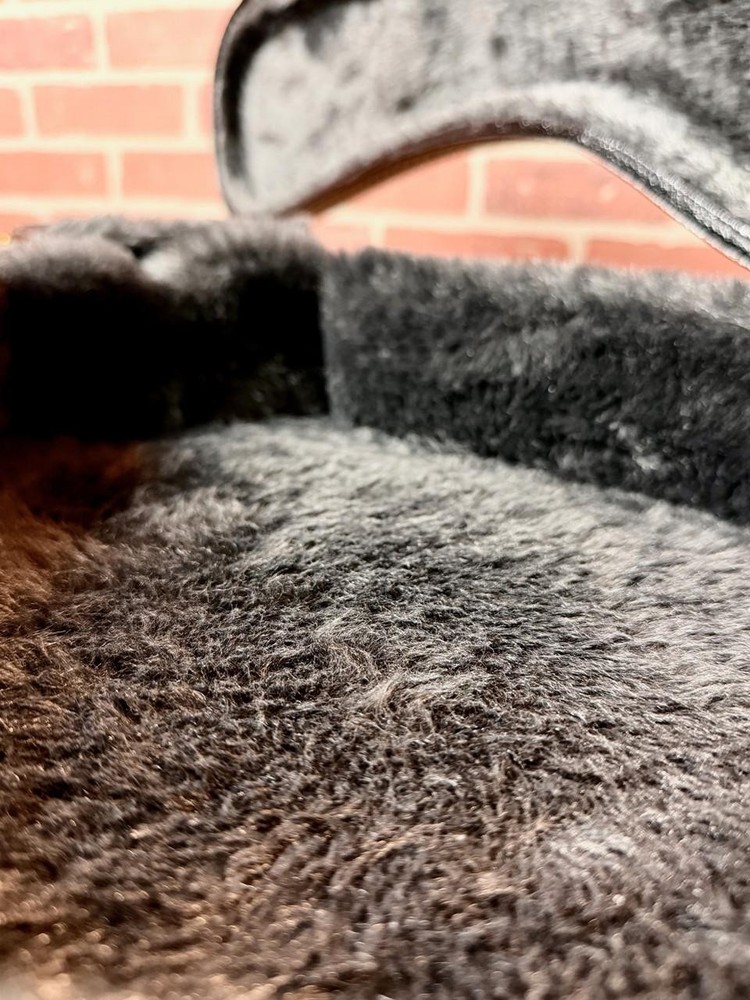 TKL Premier F-Style Mandolin Hardshell Case - Black