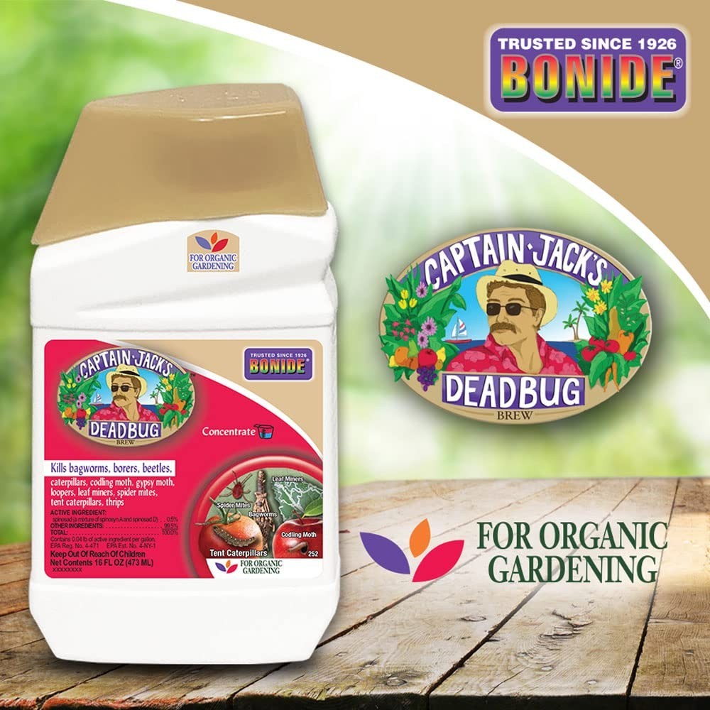 Bonide Captain Jack's Deadbug Brew Concentrate, 16oz Insect & Mite Killer