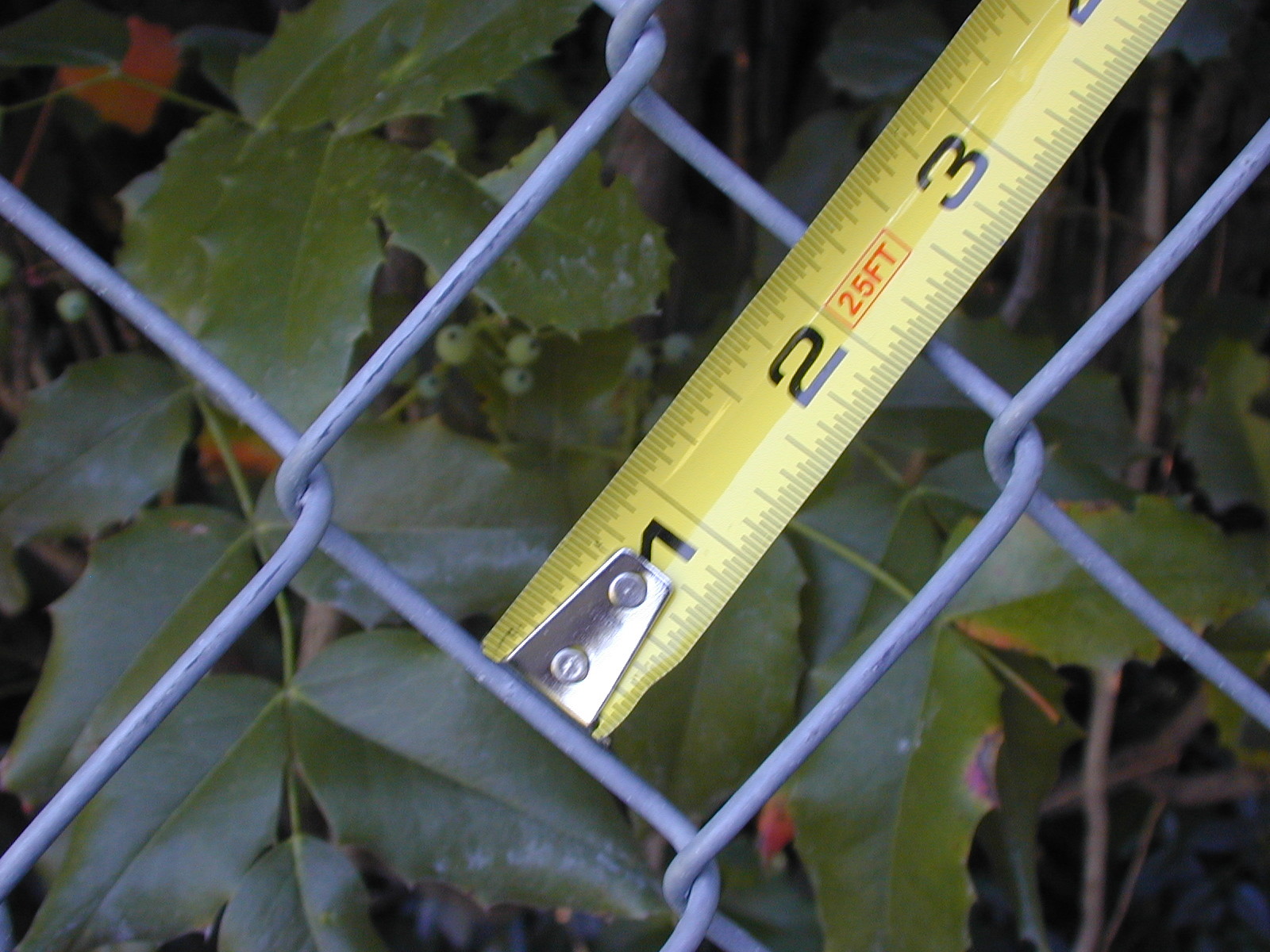 6 ft High Beige Wave Slat™ Single Wall Privacy Chain Link Fence Slats