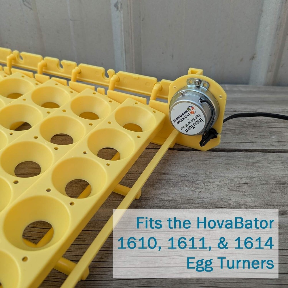 Replacement Egg Turner Motor High Performance Eggs Turner Motor For Incubator