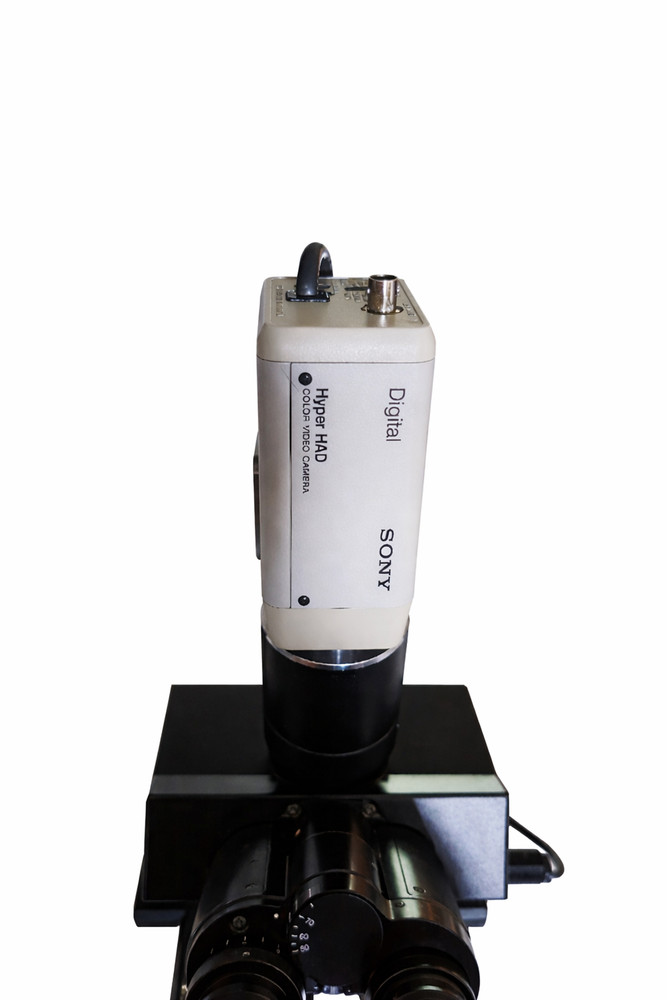 Olympus BX40 Upright Laboratory Microscope with Digital Camera