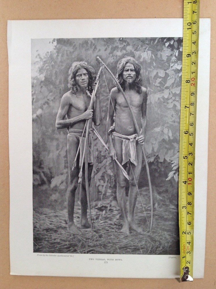 1902 ,Antique print, two Yeddas, men with bows