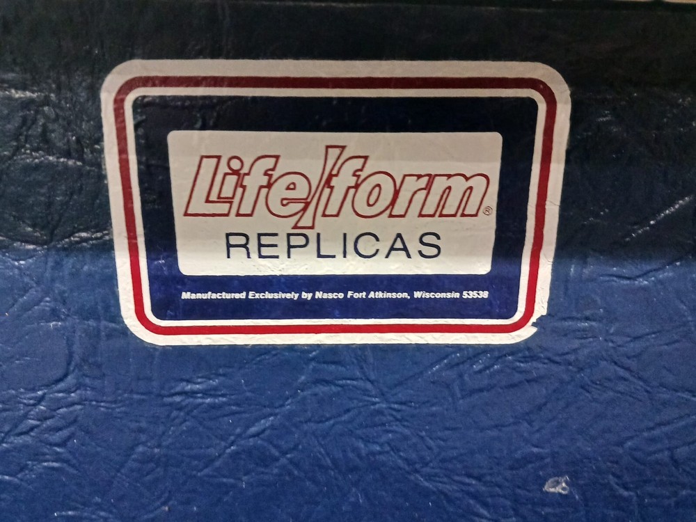 Nasco Lifeform Replicas Left Arm Training Simulator w/ Case