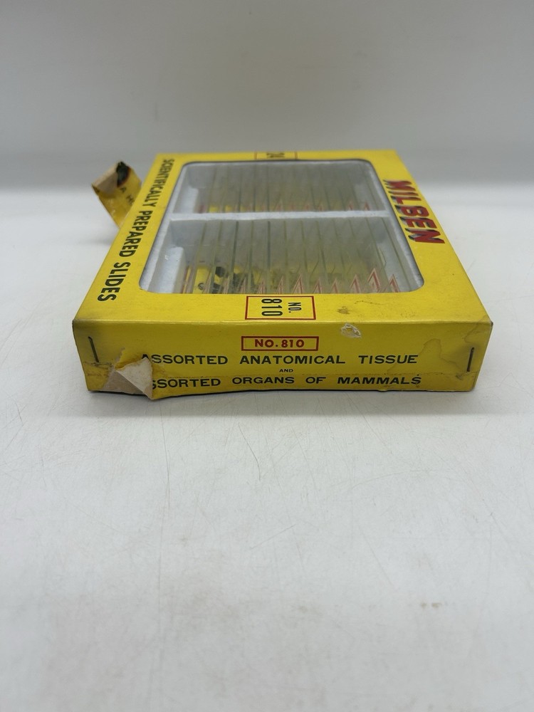 Milben 12 Microscope Slides Set No 810