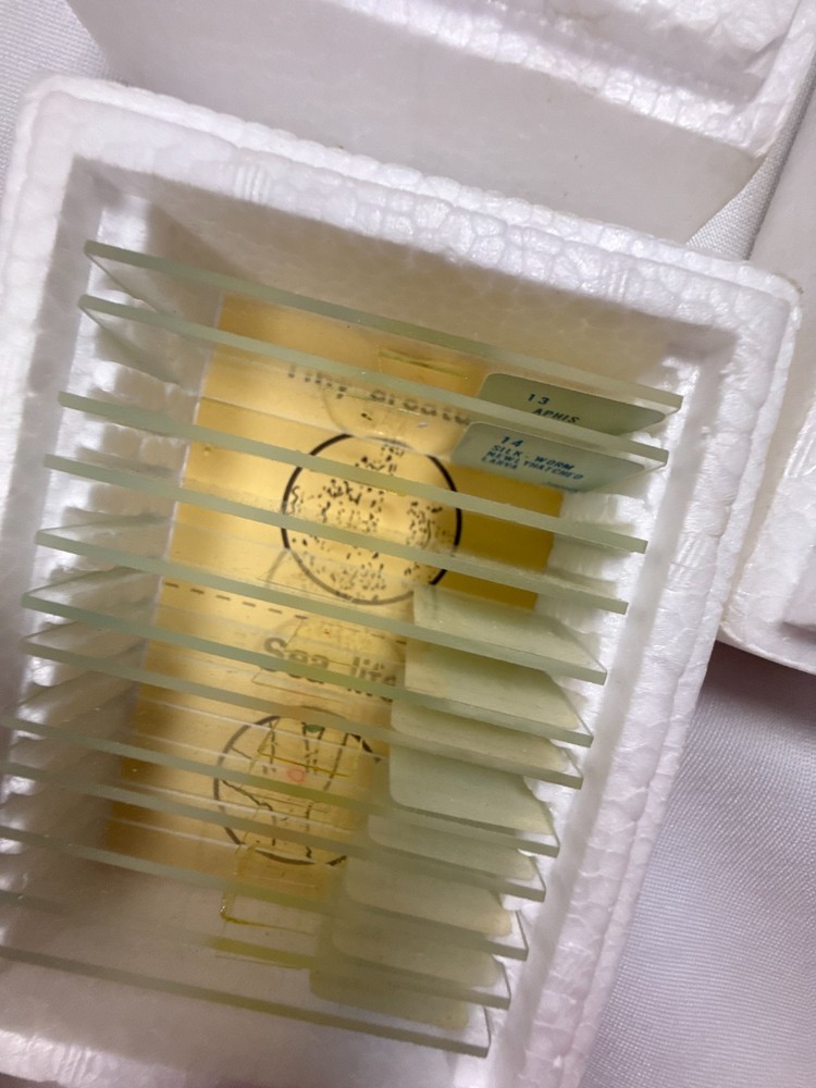 Sears Prepared Microscope Slides Set 36 Specimens Science Education Lab Kit