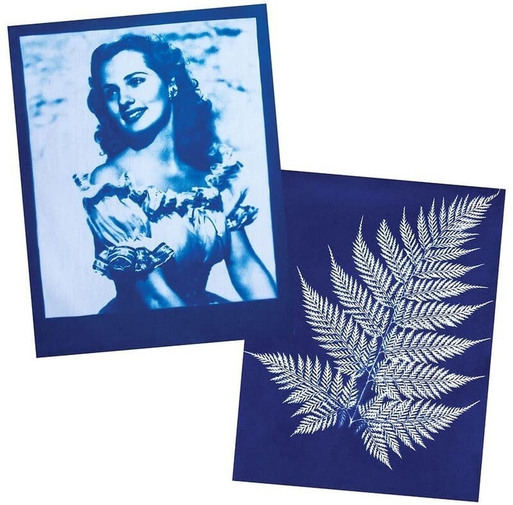 Jacquard Cyanotype Sensitizer Set