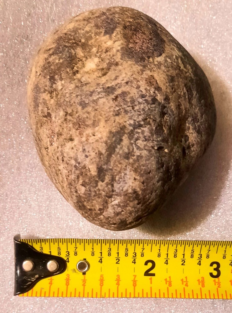 Garnet In Metamorphic Matrix Host Rock