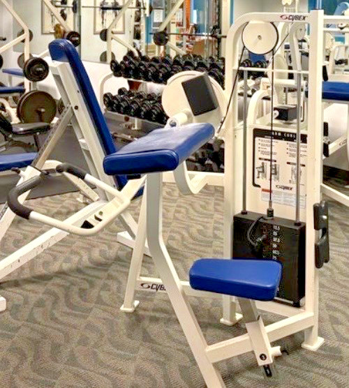 Cybex | VR2 Biceps Curl