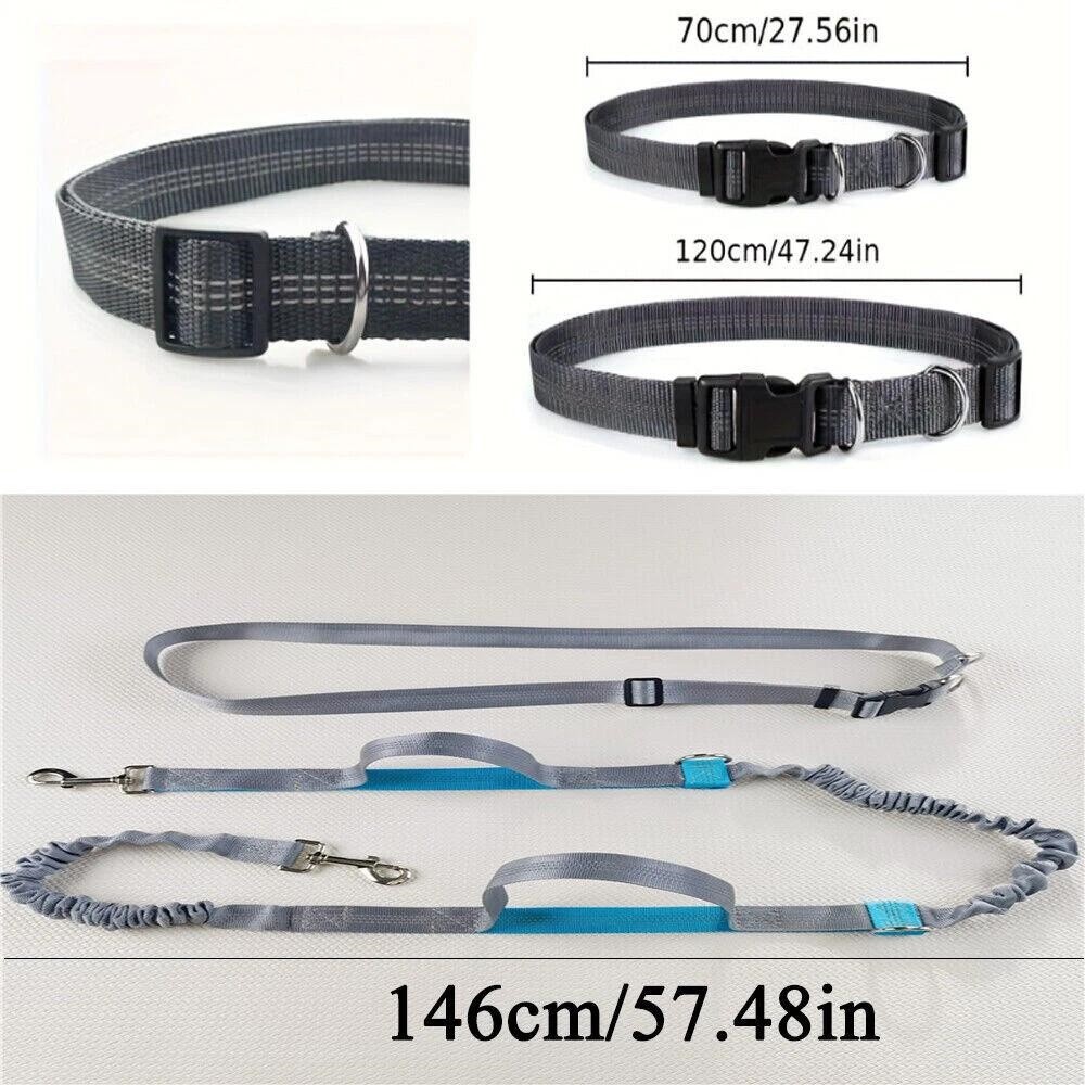 Dog Leash Belt Hands Free Running Jogging Walking Waist Pouch with Bungee Leash