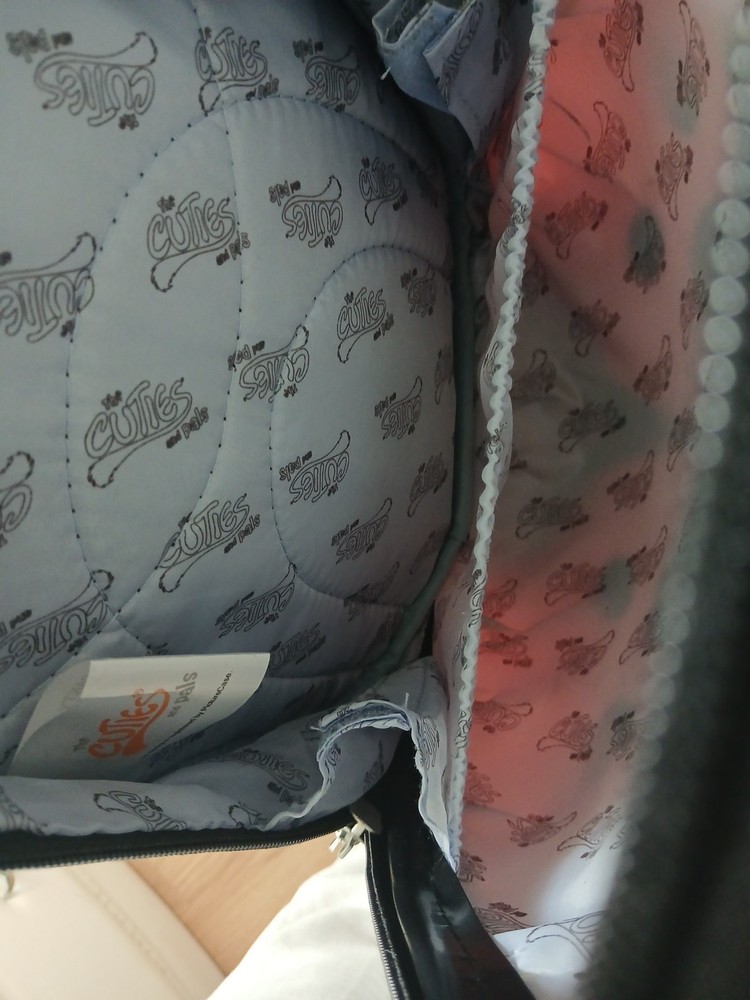 Kids School Bag