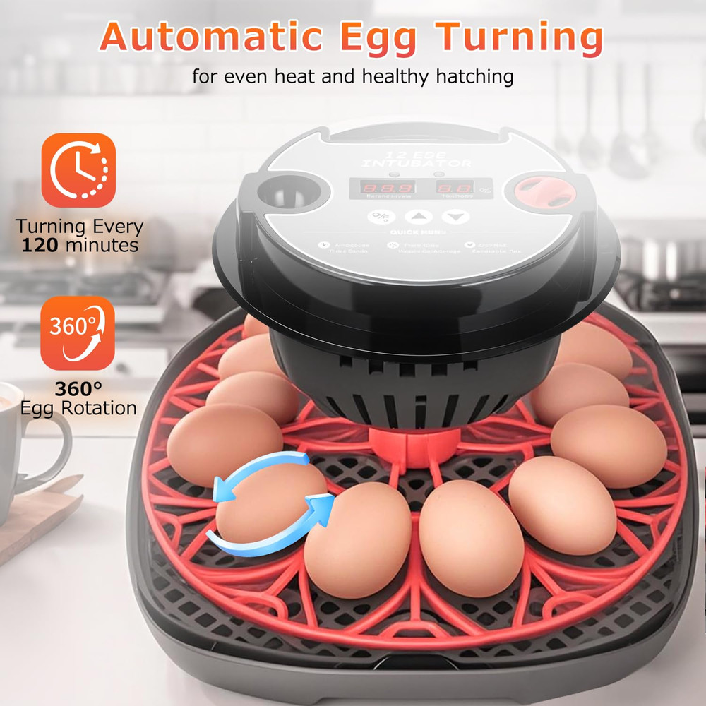 12 Egg Incubators for Hatching Eggs Automatic Egg Incubator with Temperature Con