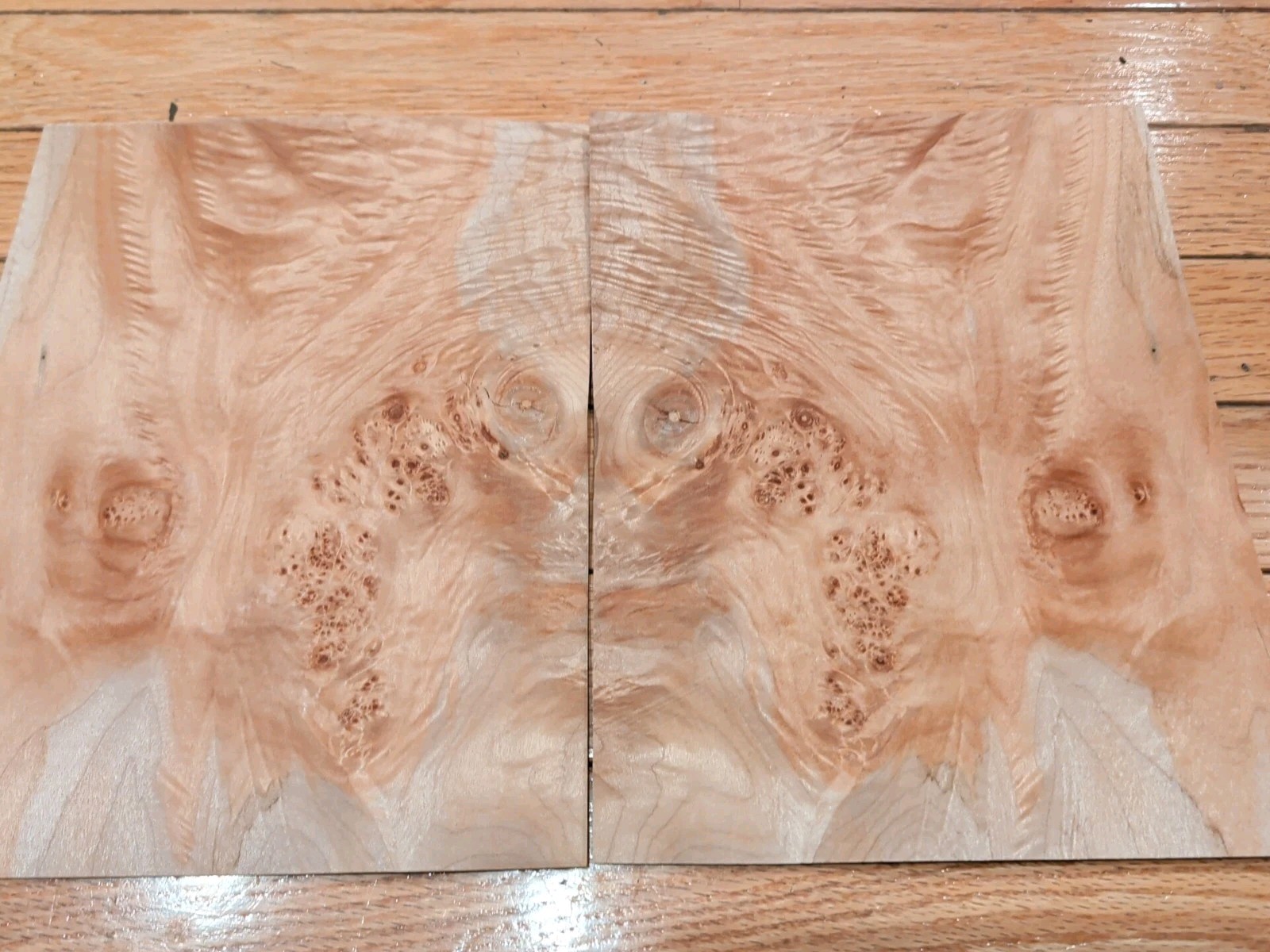 Maple Burl veneer 2 pieces 8" x 10 1/8" each raw 1/42" wood Buckled