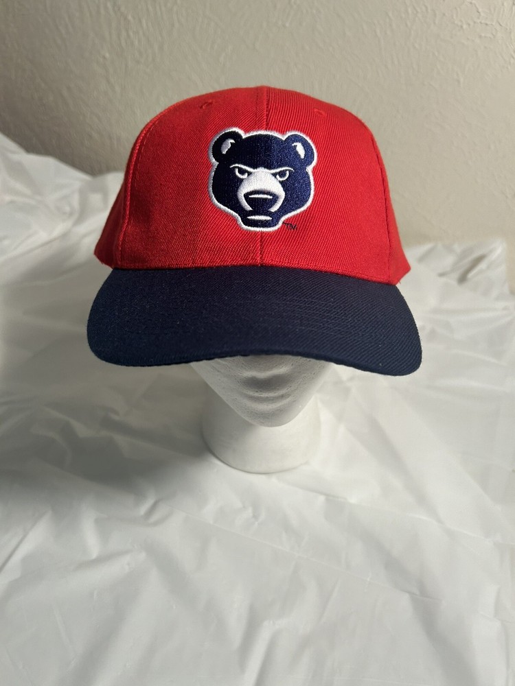 South Bend Cubs Baseball Cap Hat Adjustable Four winds Field SGA