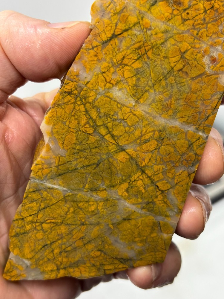 Brecciated Jasper Slab Cabbing Lapidary Combo Ship Available