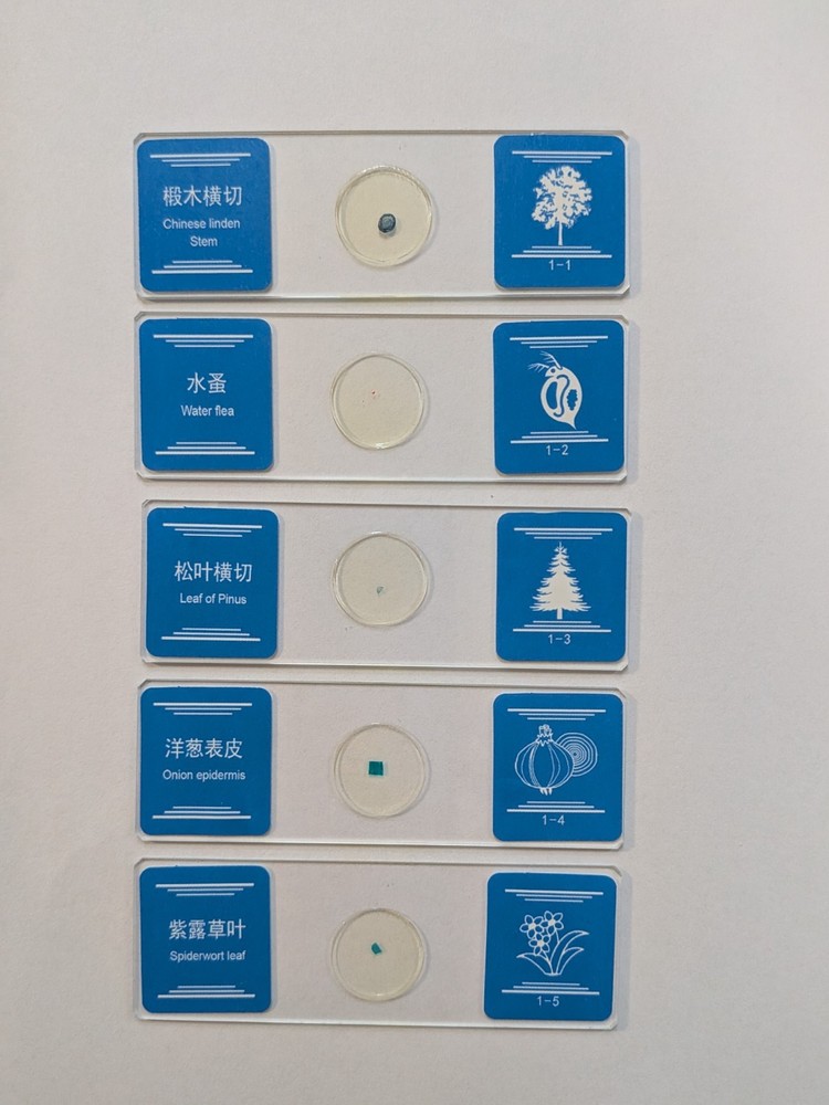 35 Prepared Microscope Slides Set – Plant, Insect & Microorganism - Educational