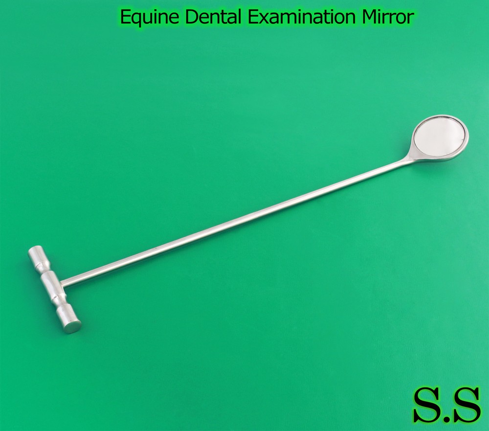 Equine Dental Examination Mirror Veterinary Instruments