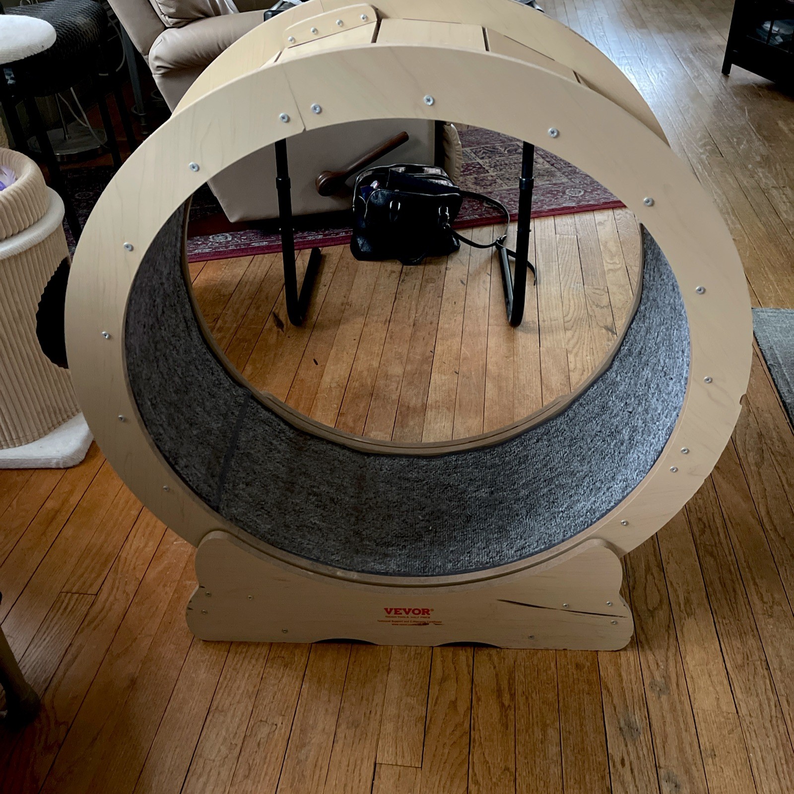 Cat Exercise Wheel, Large Cat Treadmill Wheel for Indoor Cats, 29.5 inch Cat Run