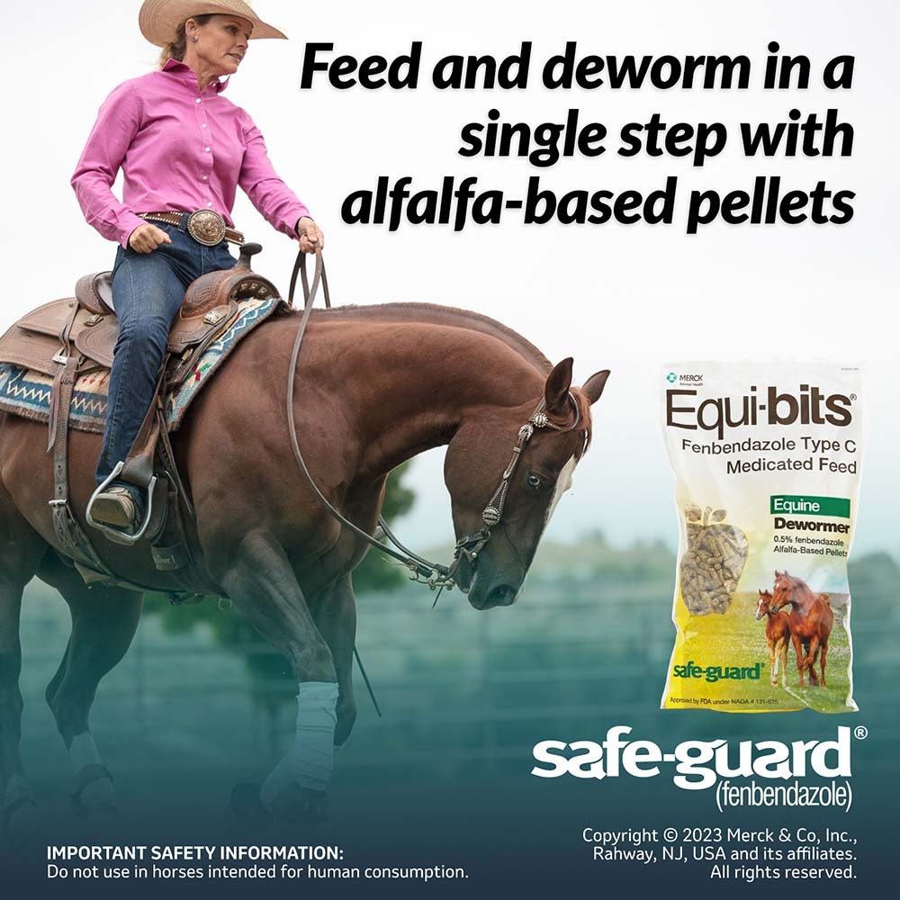 Safe-Guard Equi-Bits 1.25lb