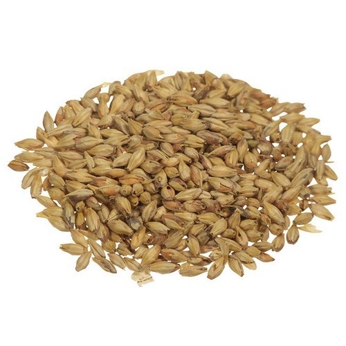 AROMATIC MALT -1 LB - Unmilled or Crushed Per Pound