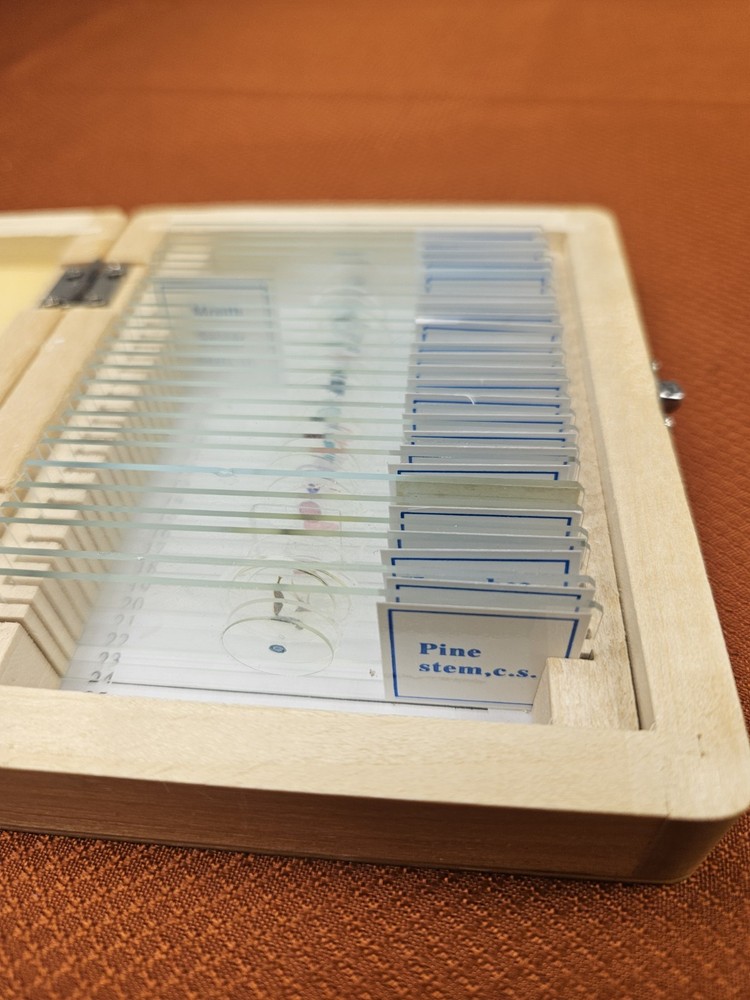 Celestron prepared microscope 25 slide set
