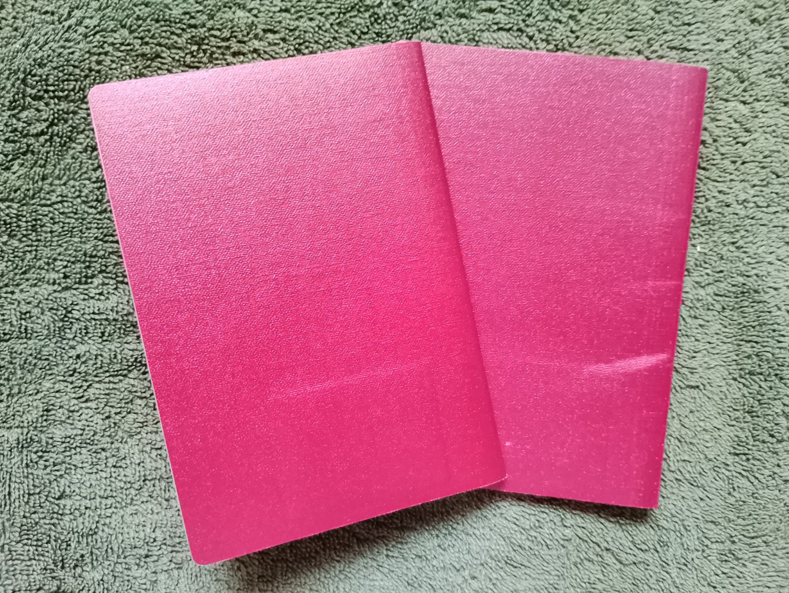 Two foreign travel passports belonging to a female Russian citizen.