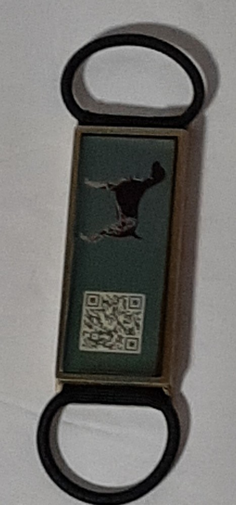 DISONTAG QR Code Dog Tags Personalized for Pets German Short-haired Pointer NEW