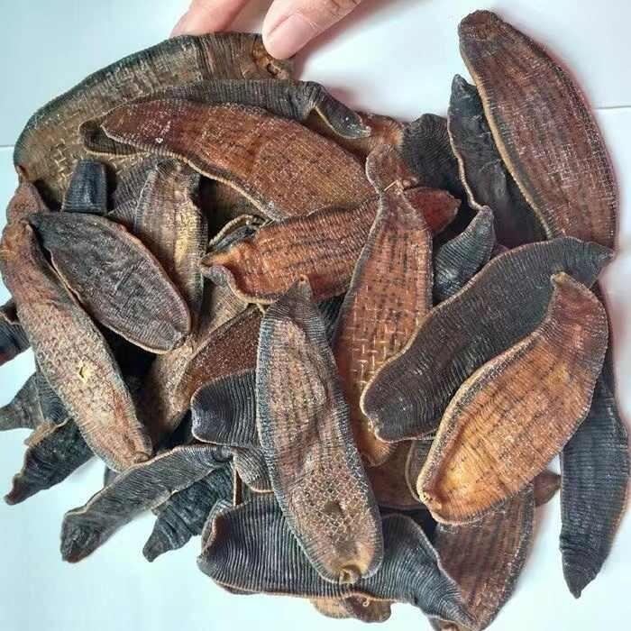 Natural Plant Longevity Recipe 泡酒料 养生长寿 宽体金边大水蛭干100克 非清水吊干