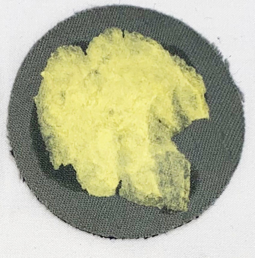 Polish Cavalry Troops Patch