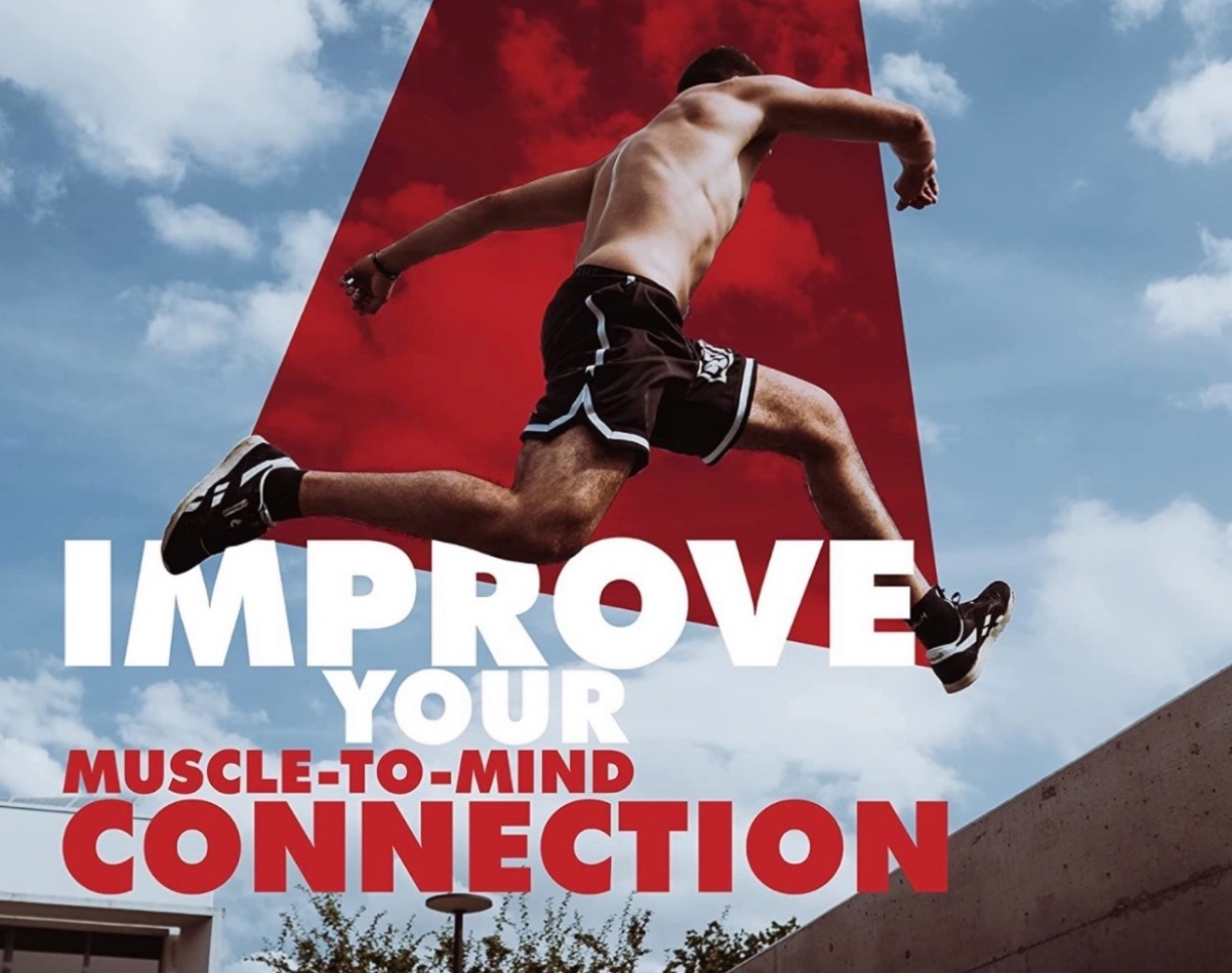 Vital Pro Capsules, Vital Pro Male Performance Support Supplement (60 Capsules)