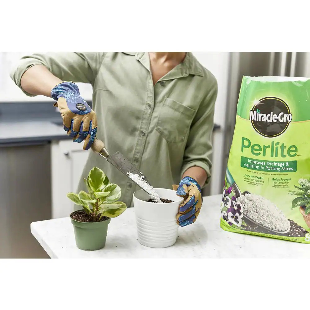 8 Qt. Perlite Soil